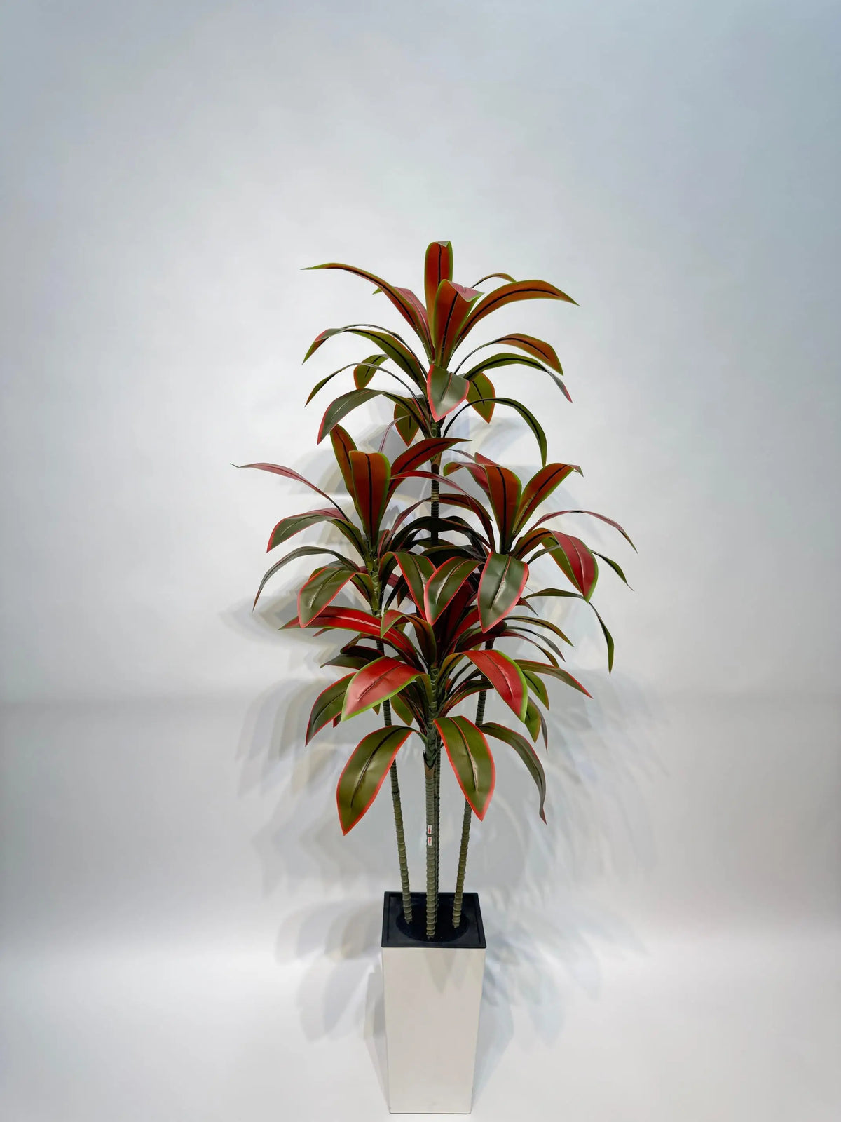 Artificial Dracaena Tree With White Tall Planter Fake Plants Faux Tree For Home Decor Living Room Office Entryway