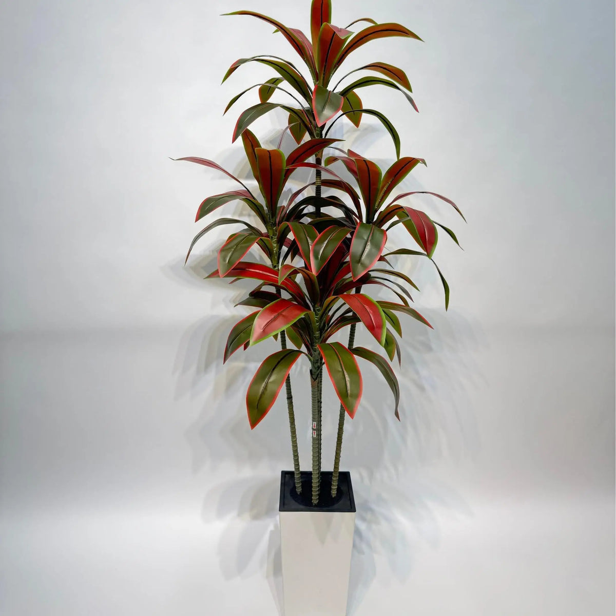 Artificial Dracaena Tree With White Tall Planter Fake Plants Faux Tree For Home Decor Living Room Office Entryway