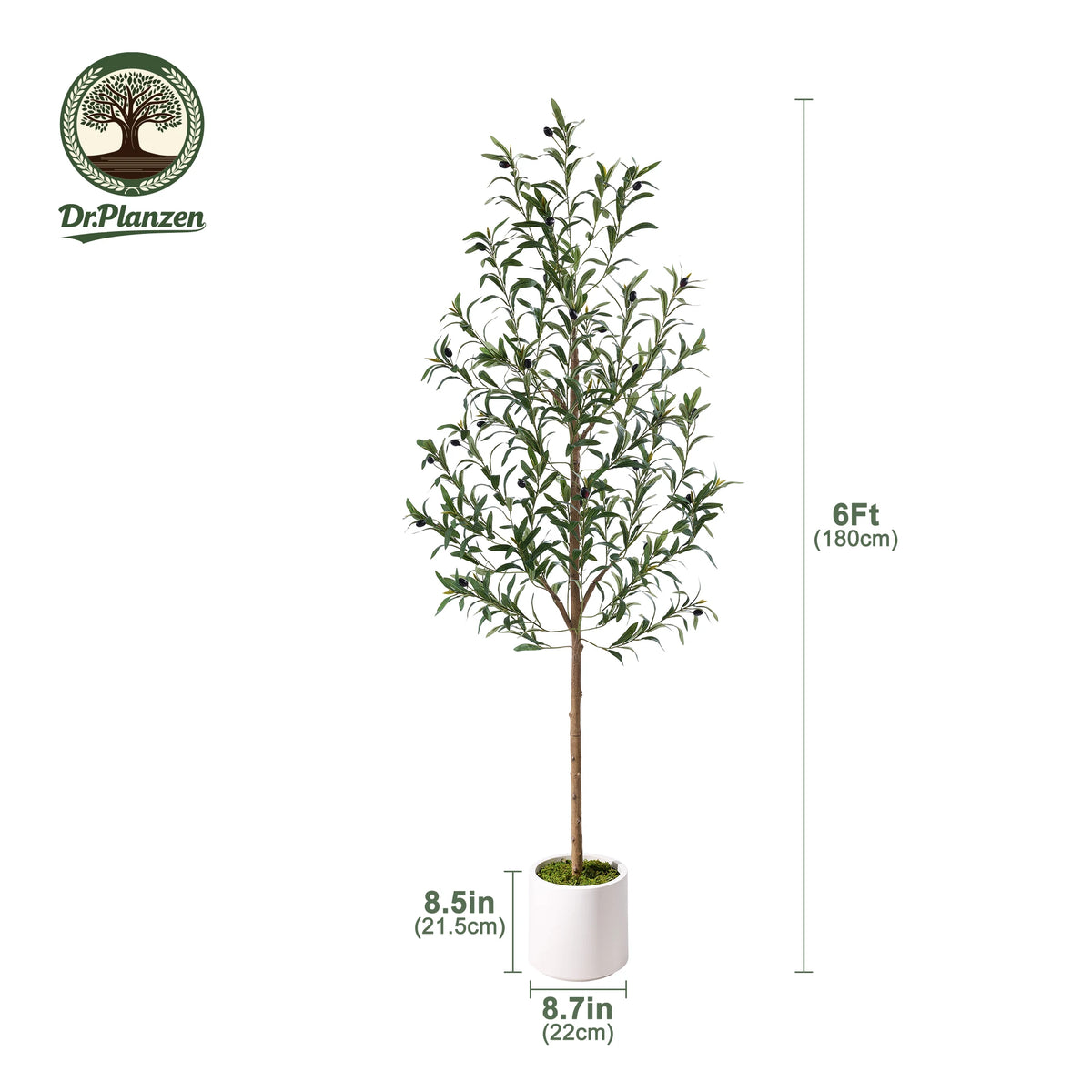 Artificial Olive Tree, Faux Potted Olive Tree with White Planter And Moss, 5FT/6FT Tall Fake Silk Plant with Realistic Leaves And Fruits for Living Room, Bedroom, Office, Entryway, Modern Home Decor
